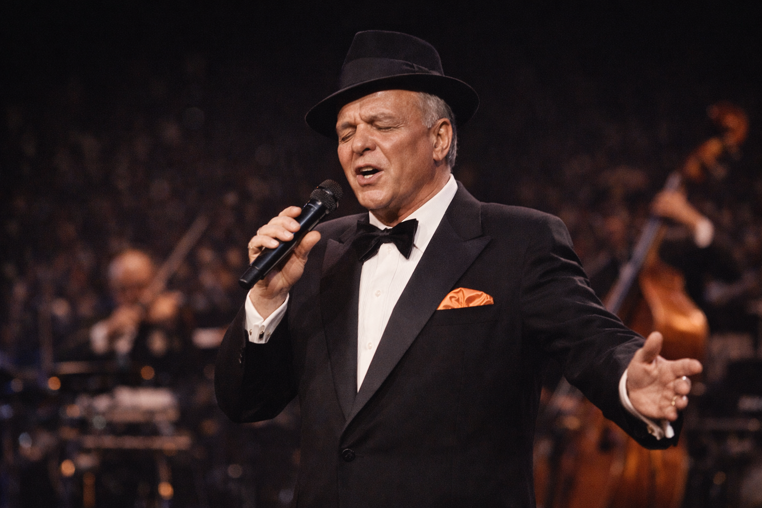 Frank Sinatra performing My Way during a live concert